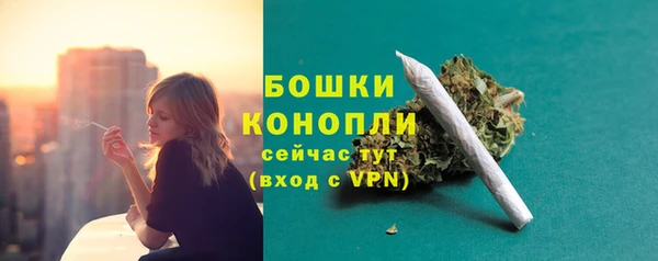 бошки Елизово
