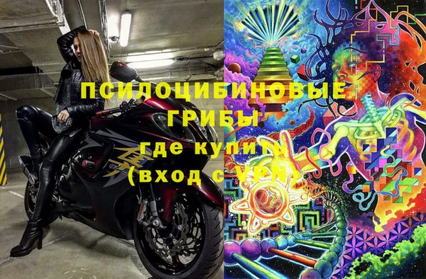 ПСИЛОЦИБИНОВЫЕ ГРИБЫ Заволжск