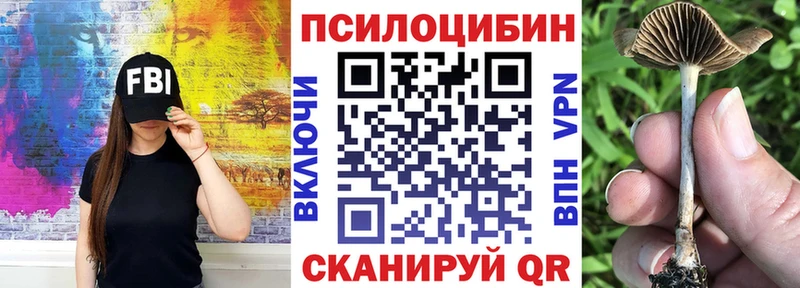 Псилоцибиновые грибы MAGIC MUSHROOMS  shop формула  Зерноград 