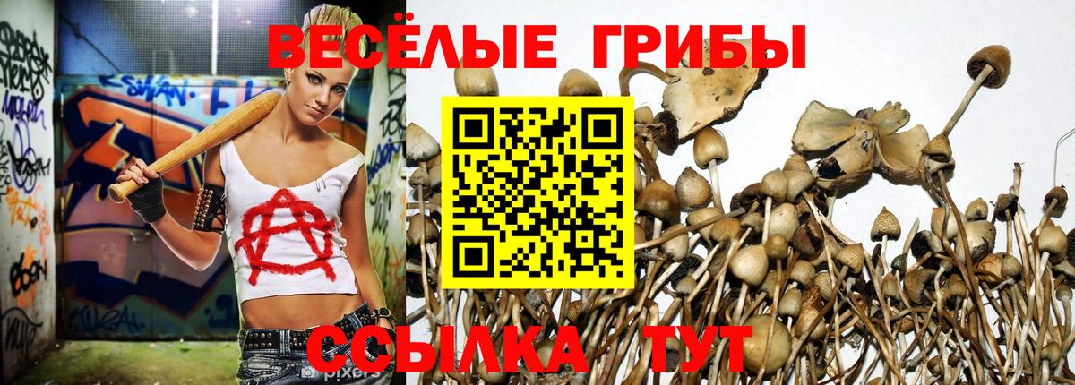 Псилоцибиновые грибы мухоморы Зерноград